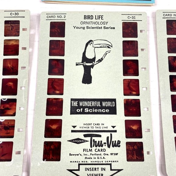 Tru-Vue Film Cards Set of 3 Stereoview Bird Life Ornithology Young Scientist VTG - Picture 5 of 8